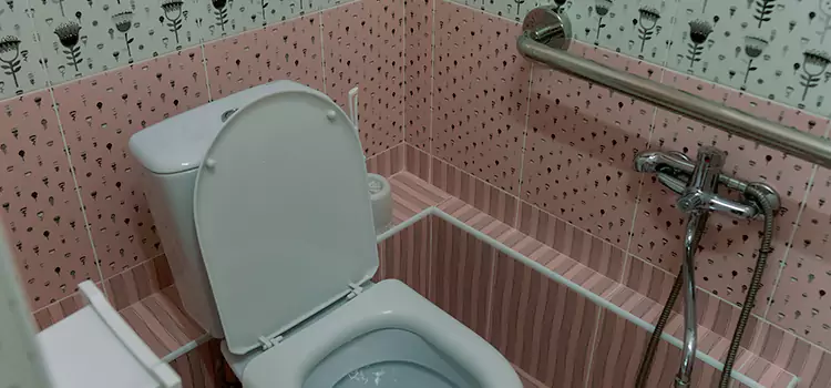 Meeting Diverse Needs With Accessible Restroom Solutions in Franklin, TN